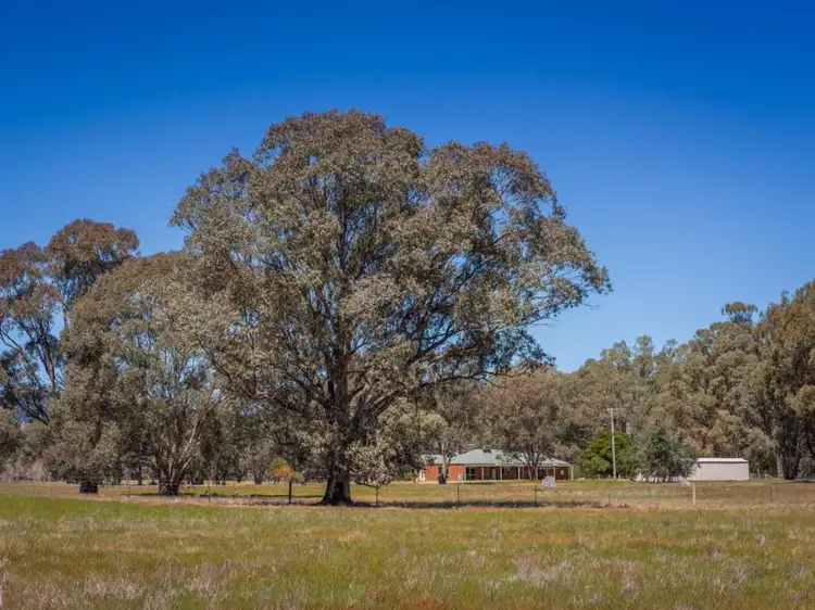 Seventh view of Homely rural property listing, 554 Creightons Creek Road, Euroa VIC 3666