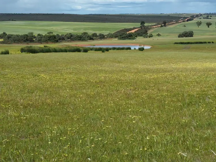 Main view of Homely rural property listing, 1271 Boundary Road, Yathroo WA 6507