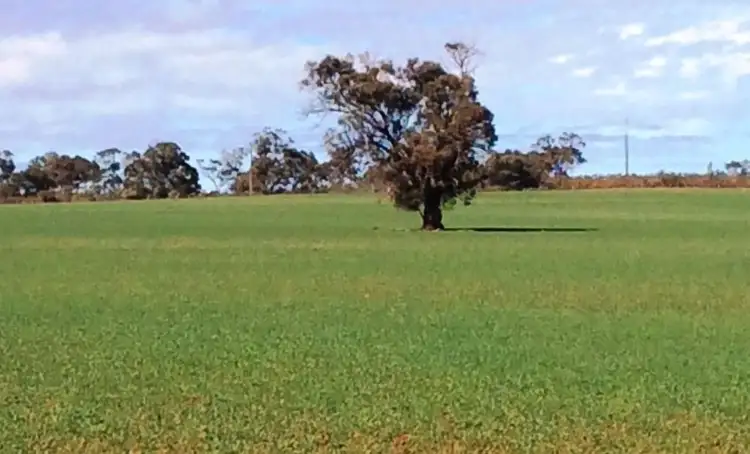 139 Morchard Road, Booleroo Centre SA 5482