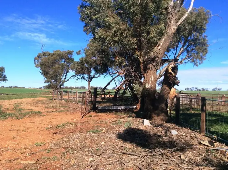 Sixth view of Homely rural property listing, 139 Morchard Road, Booleroo Centre SA 5482
