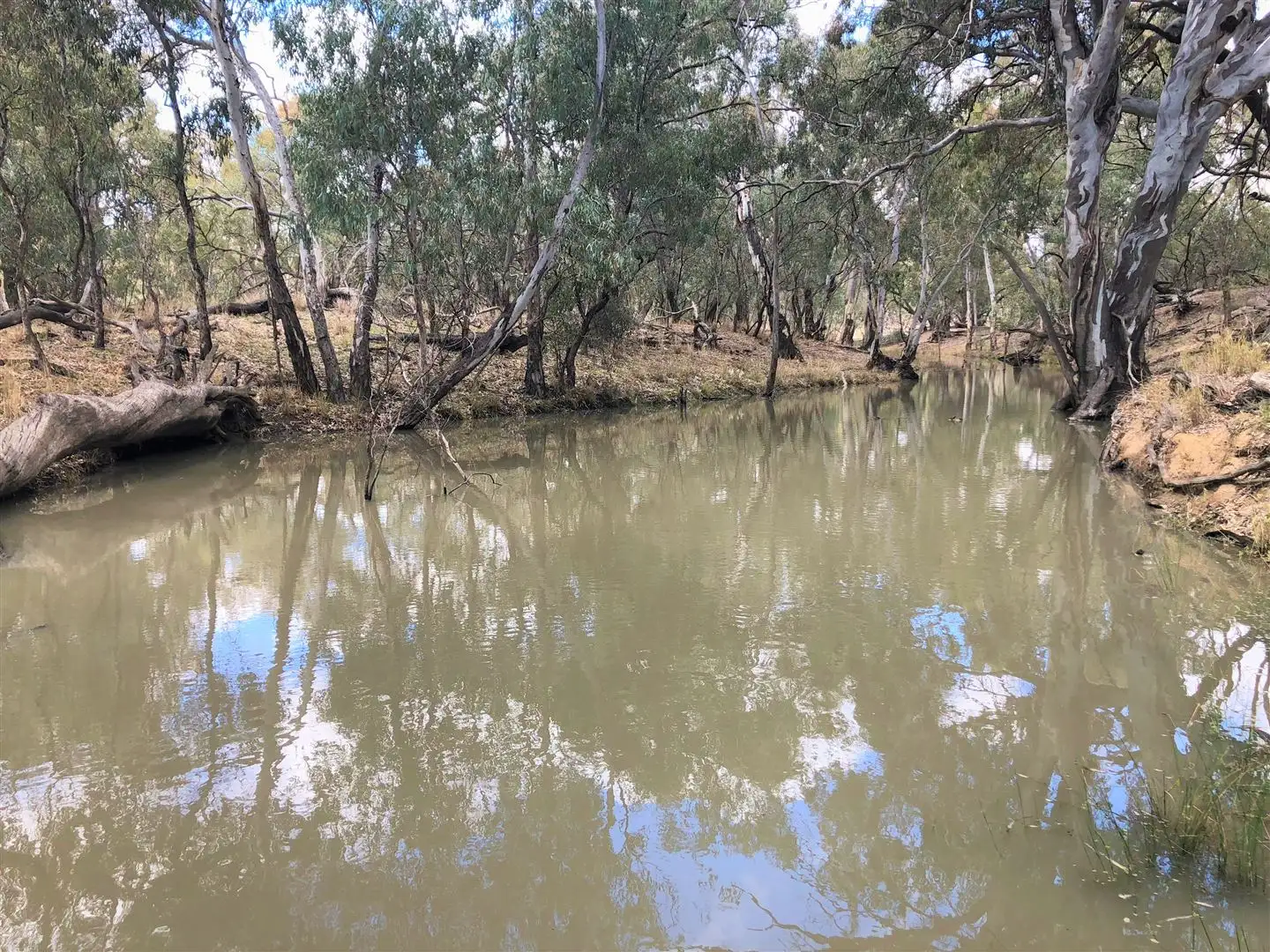Main view of Homely rural property listing, . Keysborough, Deniliquin NSW 2710