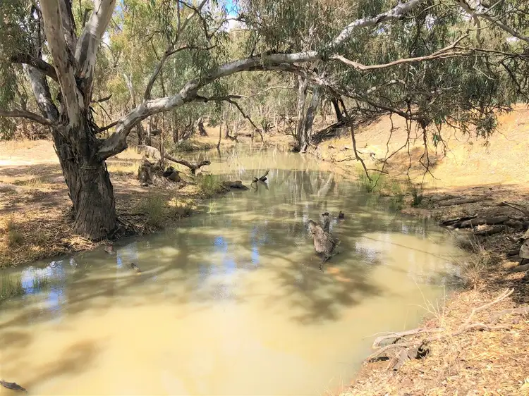 Second view of Homely rural property listing, . Keysborough, Deniliquin NSW 2710