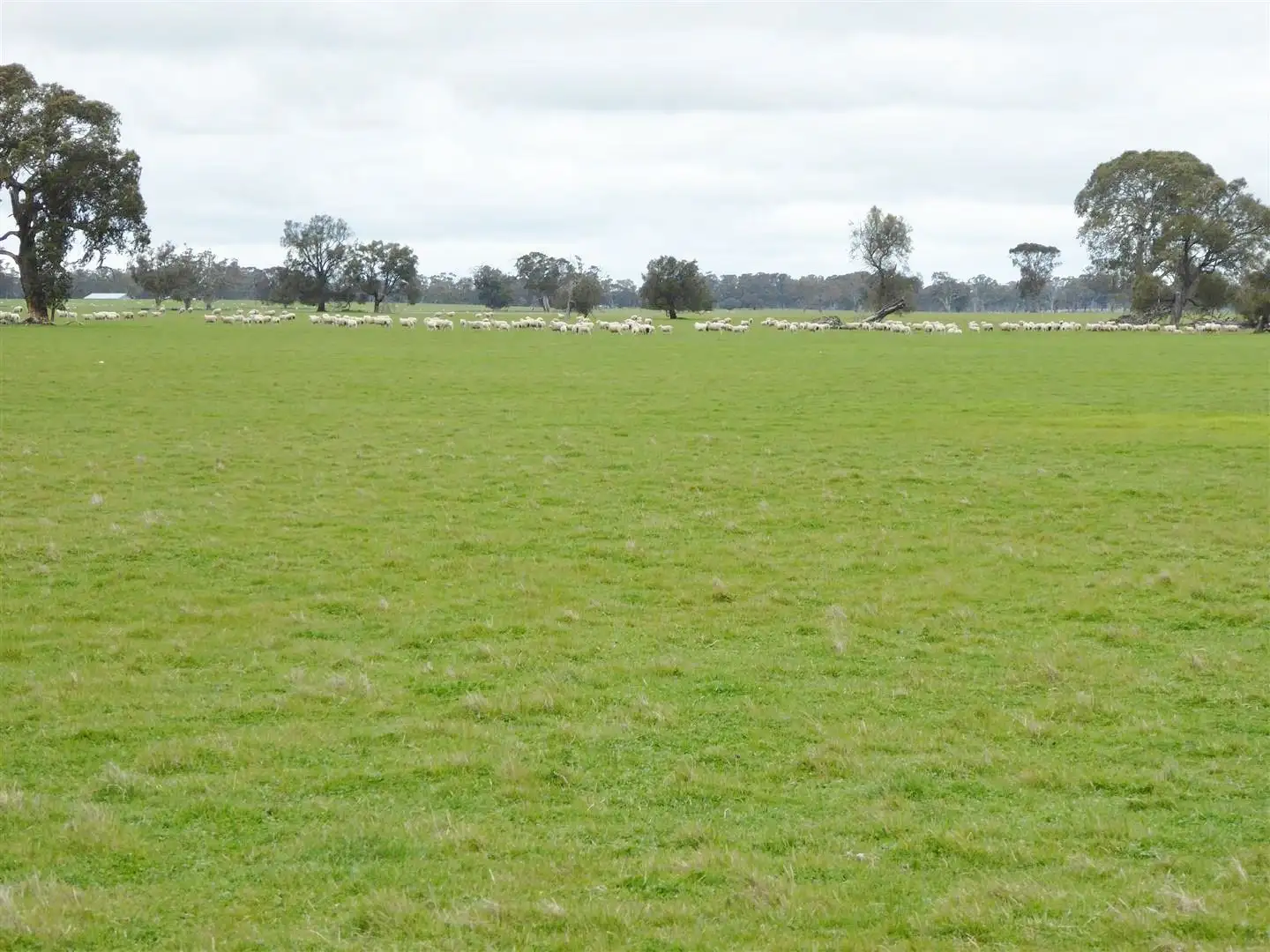 Main view of Homely rural property listing, CA 86 86A Guthries Road, Apsley VIC 3319