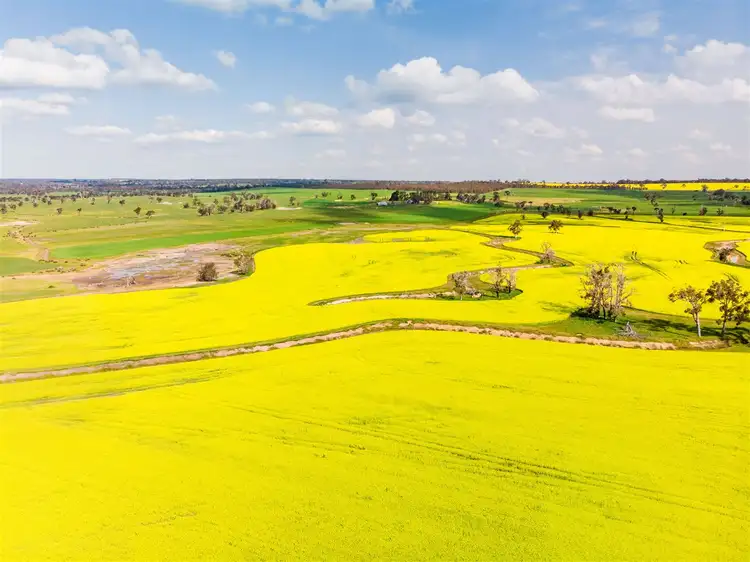 Third view of Homely rural property listing, Address available on request