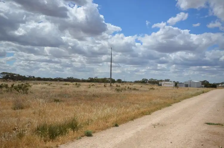 Main view of Homely rural property listing, 87 Peregrine Way, Tailem Bend SA 5260
