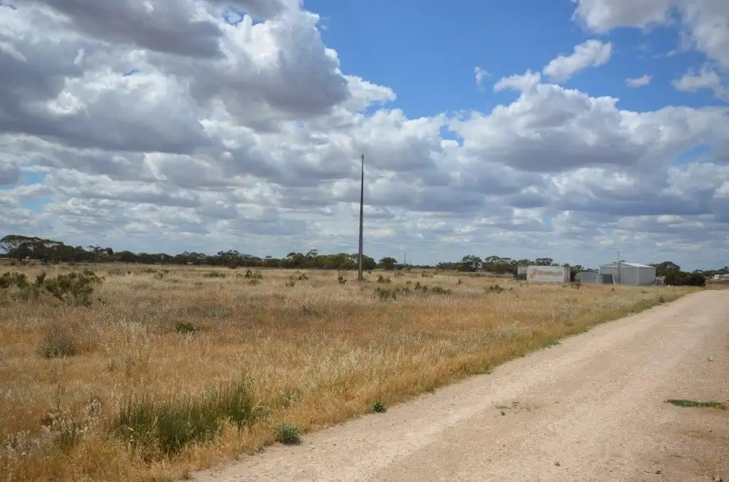 Main view of Homely rural property listing, 87 Peregrine Way, Tailem Bend SA 5260