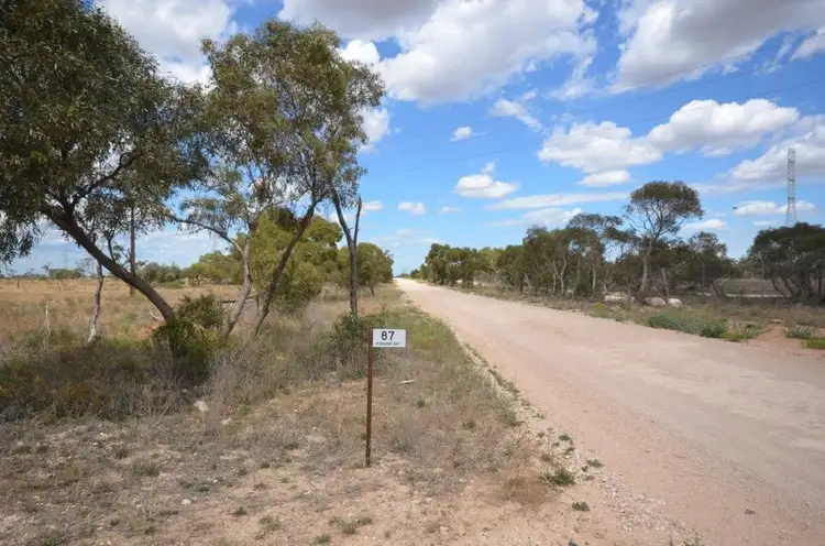 Second view of Homely rural property listing, 87 Peregrine Way, Tailem Bend SA 5260