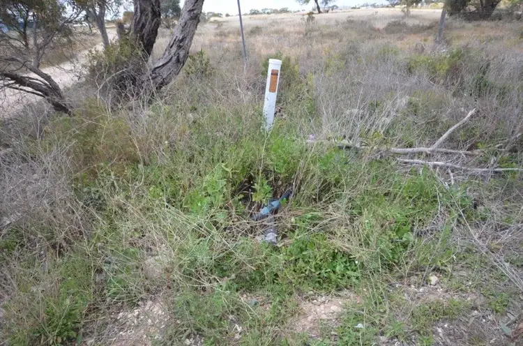 Seventh view of Homely rural property listing, 87 Peregrine Way, Tailem Bend SA 5260