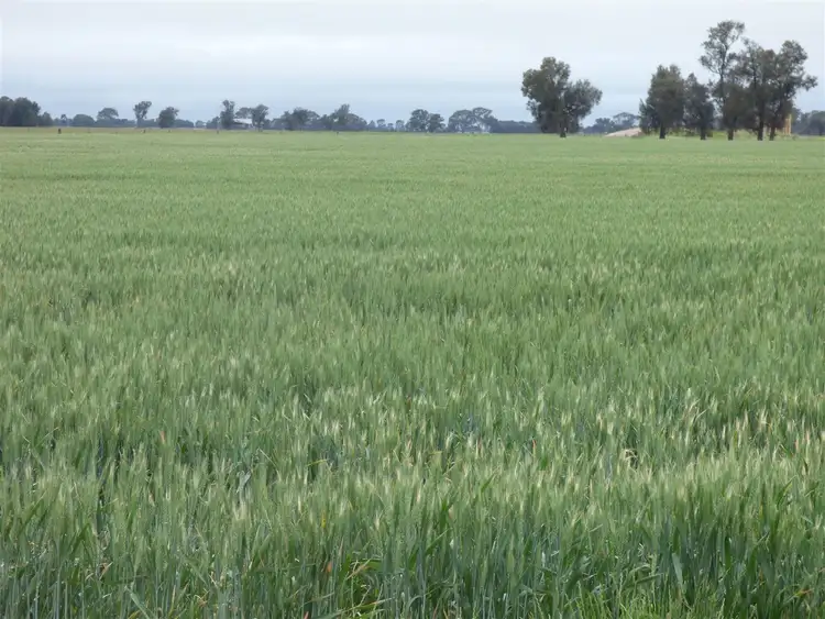 Lot 1 Glenorchy Road, Rupanyup VIC 3388