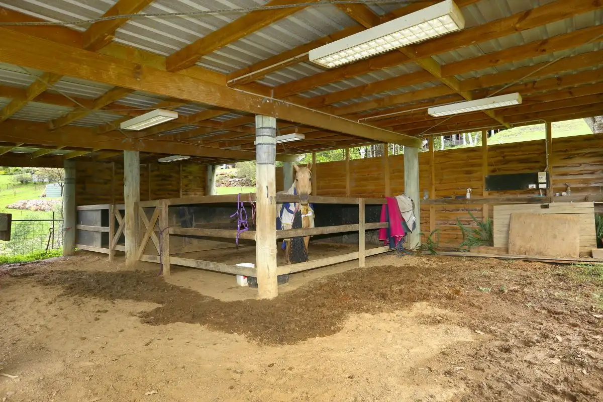 Main view of Homely house listing, 38 Gilward Drive, Mudgeeraba QLD 4213