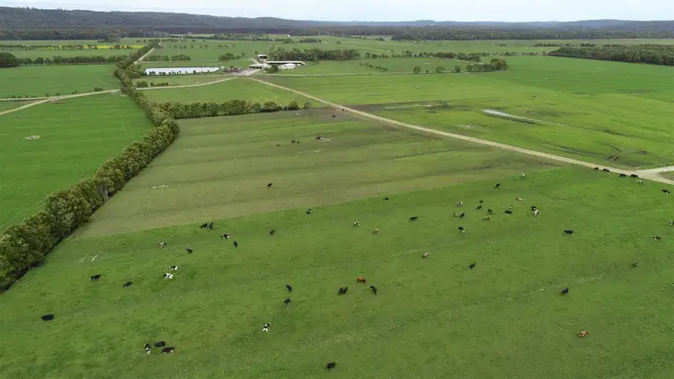Fifth view of Homely rural property listing, 98 Donalds Road, Roger River TAS 7330