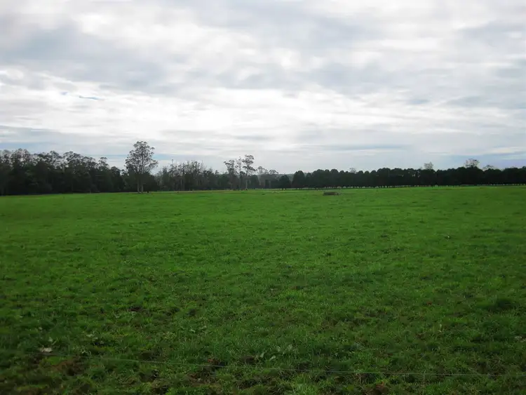Sixth view of Homely rural property listing, 98 Donalds Road, Roger River TAS 7330