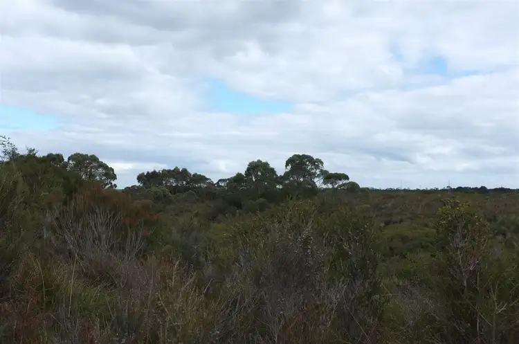 Main view of Homely land listing, 20 Sarson Close, Strahan TAS 7468