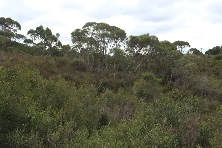 Seventh view of Homely land listing, 20 Sarson Close, Strahan TAS 7468