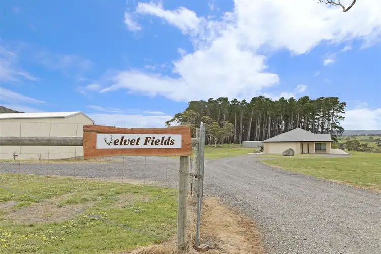 Second view of Homely rural property listing, 142 Strangways Road, Inman Valley SA 5211