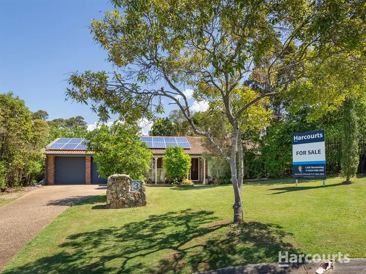 Second view of Homely house listing, 3 St Marcel Ct, Petrie QLD 4502