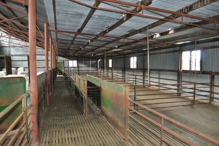 Seventh view of Homely rural property listing, Address available on request