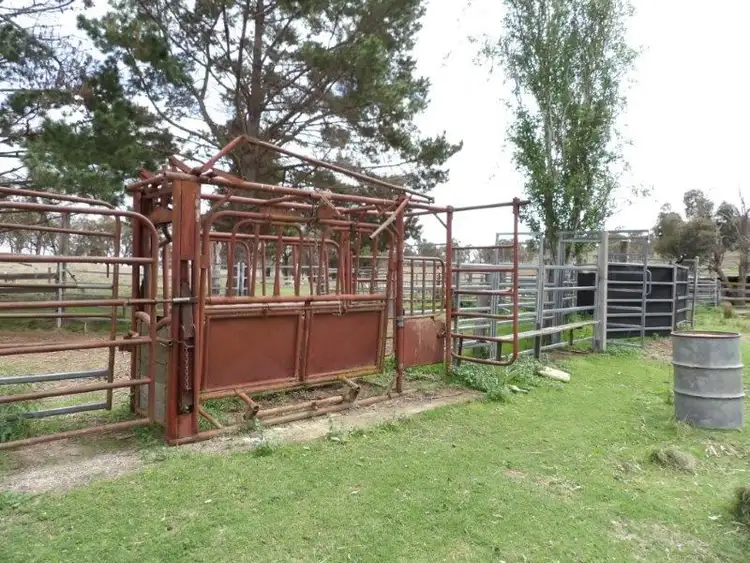 Seventh view of Homely rural property listing, 'Finlarig'/722 Rangers Valley Road, Dundee NSW 2370
