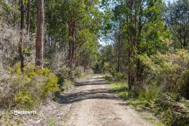 Second view of Homely land listing, - Wallis Road, Judbury TAS 7109