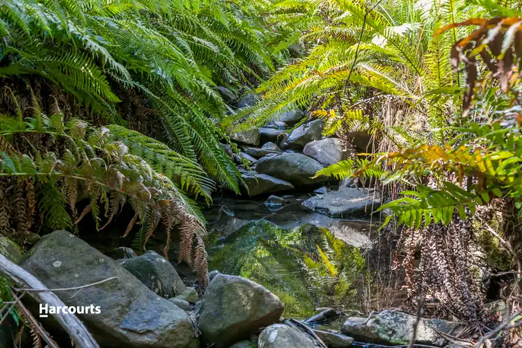 Third view of Homely land listing, - Wallis Road, Judbury TAS 7109