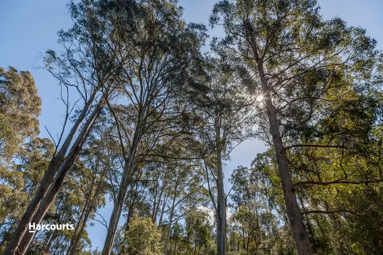 Fourth view of Homely land listing, - Wallis Road, Judbury TAS 7109