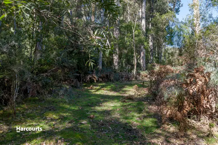 Fifth view of Homely land listing, - Wallis Road, Judbury TAS 7109