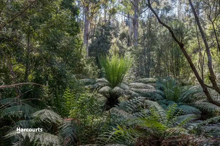 Sixth view of Homely land listing, - Wallis Road, Judbury TAS 7109