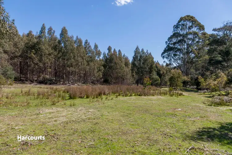 Seventh view of Homely land listing, - Wallis Road, Judbury TAS 7109