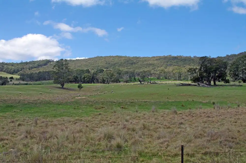 Main view of Homely rural property listing, 337 Bucky Springs Road, Bombala NSW 2632