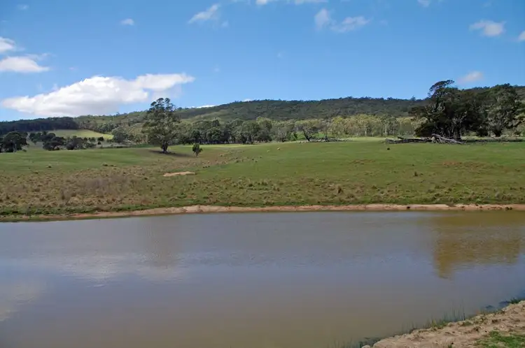 Fifth view of Homely rural property listing, 337 Bucky Springs Road, Bombala NSW 2632