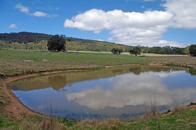 Seventh view of Homely rural property listing, 337 Bucky Springs Road, Bombala NSW 2632