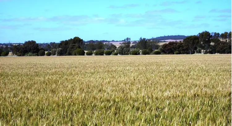 Main view of Homely rural property listing, Address available on request