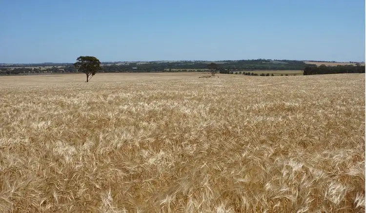 Second view of Homely rural property listing, Address available on request