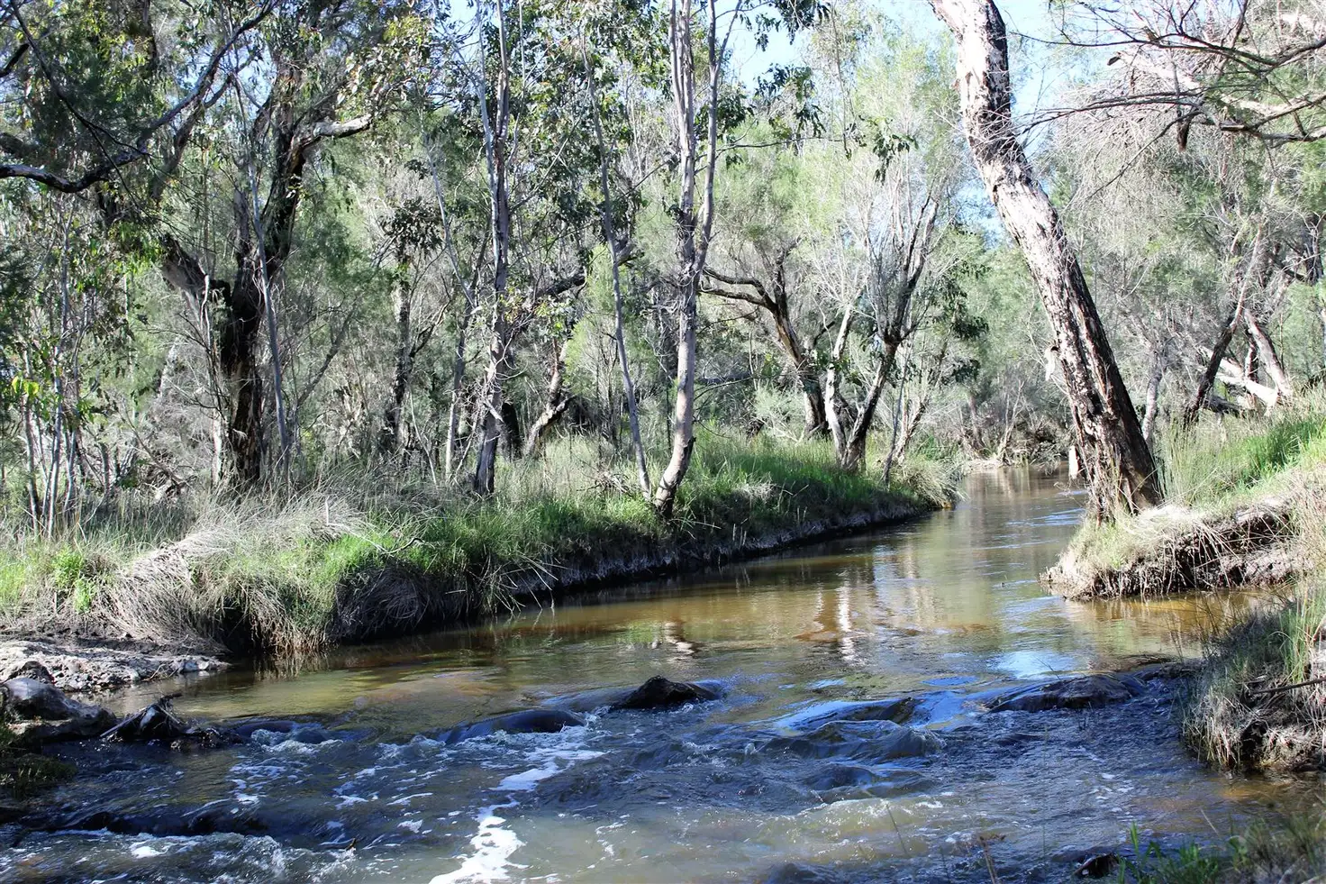 Main view of Homely rural property listing, Lot 2784 Laura Road, Wanerie WA 6503