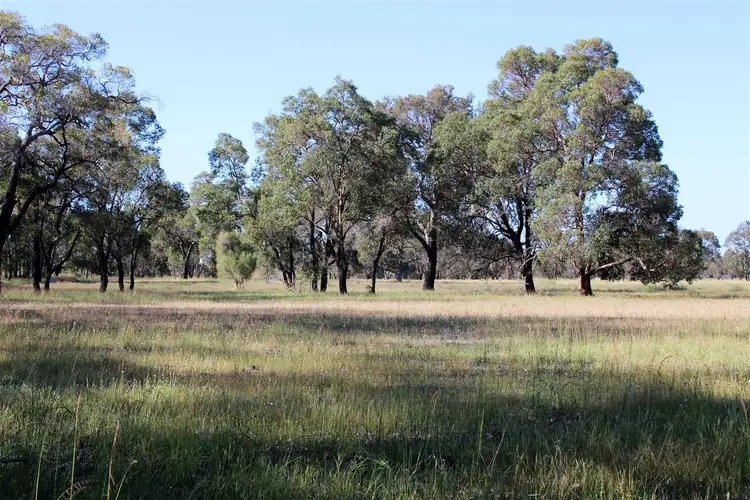 Sixth view of Homely rural property listing, Lot 2784 Laura Road, Wanerie WA 6503