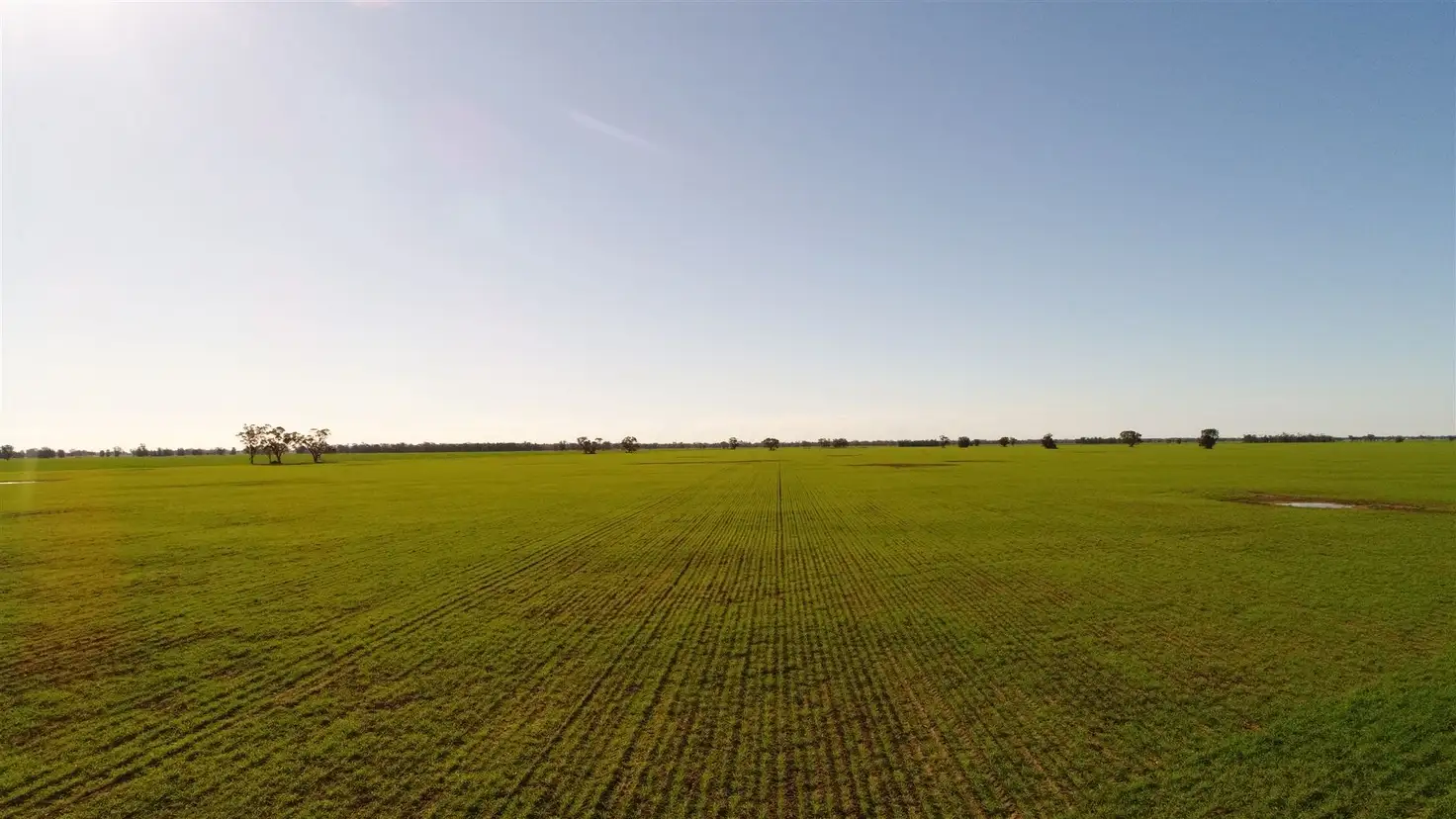 Main view of Homely rural property listing, Address available on request