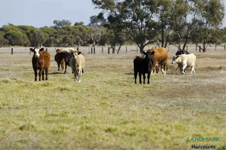 Fourth view of Homely rural property listing, 450 Old Bunbury Road, Blythewood WA 6208