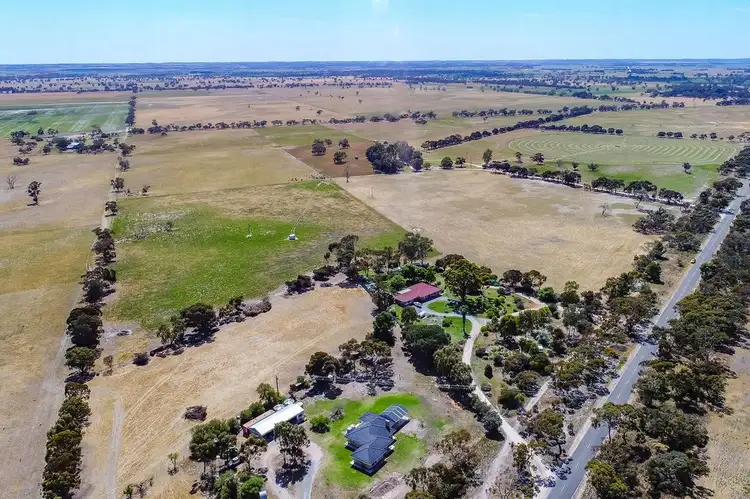 Second view of Homely rural property listing, 139 Emu Springs Road, Tintinara SA 5266