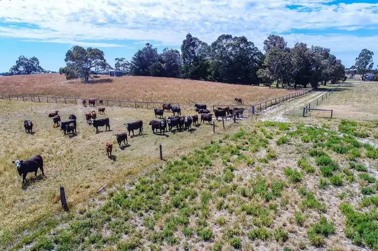 Sixth view of Homely rural property listing, 139 Emu Springs Road, Tintinara SA 5266