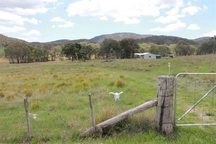 Fourth view of Homely rural property listing, 1928 Torrington Rd, Stannum NSW 2371