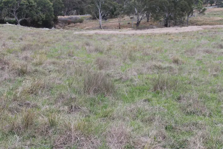 Sixth view of Homely rural property listing, 1928 Torrington Rd, Stannum NSW 2371