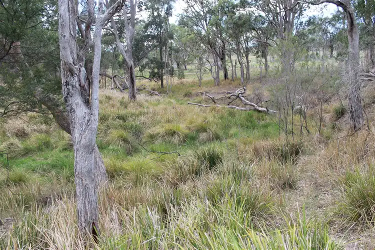 Seventh view of Homely rural property listing, 1928 Torrington Rd, Stannum NSW 2371