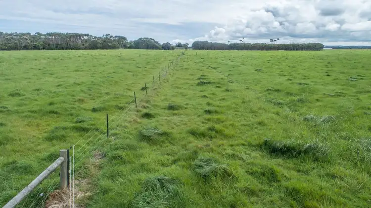 Fourth view of Homely rural property listing, 290 North Road, Currie TAS 7256