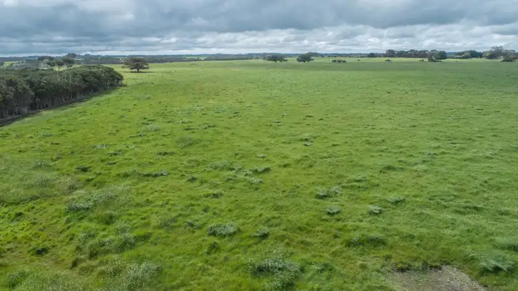 Fifth view of Homely rural property listing, 290 North Road, Currie TAS 7256