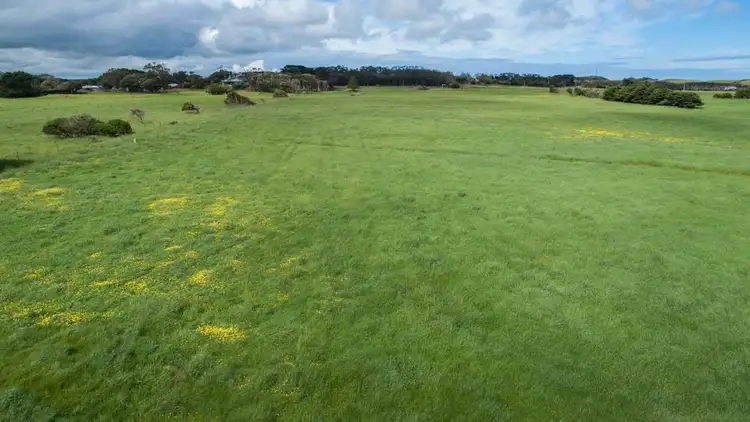 Seventh view of Homely rural property listing, 290 North Road, Currie TAS 7256