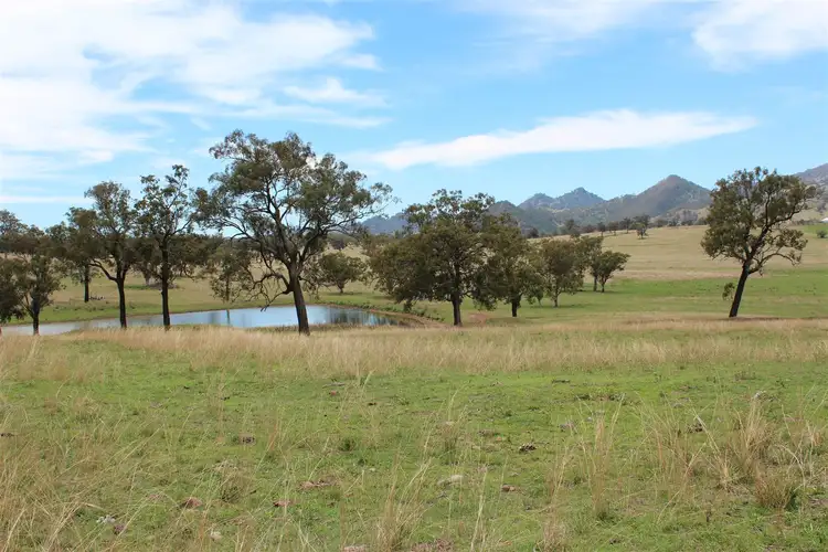 Second view of Homely rural property listing, . "Ambervale", Cressfield Rd, Scone NSW 2337