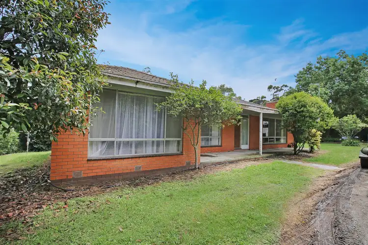 Main view of Homely rural property listing, 255 Buffalo North Road, Buffalo VIC 3958