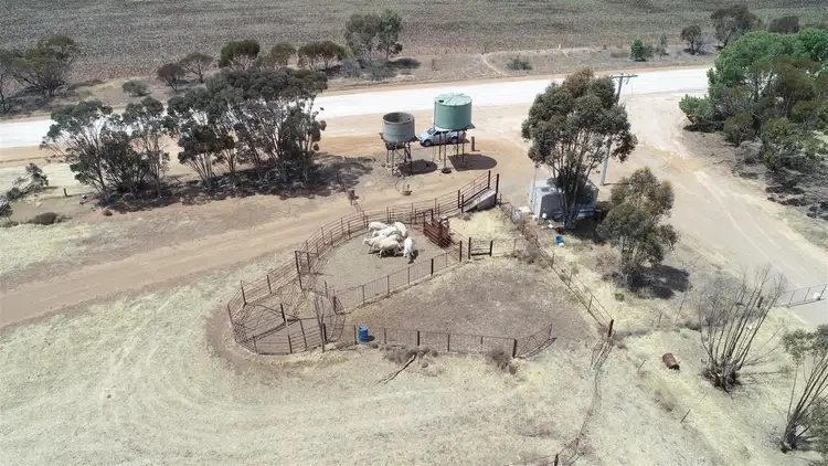 Sixth view of Homely rural property listing, 2940 Rainbow Nhill Road, Jeparit VIC 3423