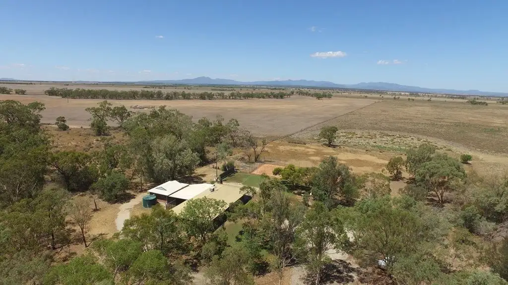 Main view of Homely rural property listing, 20576 Kamilaroi Highway, Narrabri NSW 2390