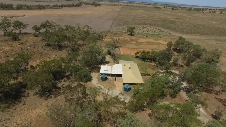 Second view of Homely rural property listing, 20576 Kamilaroi Highway, Narrabri NSW 2390